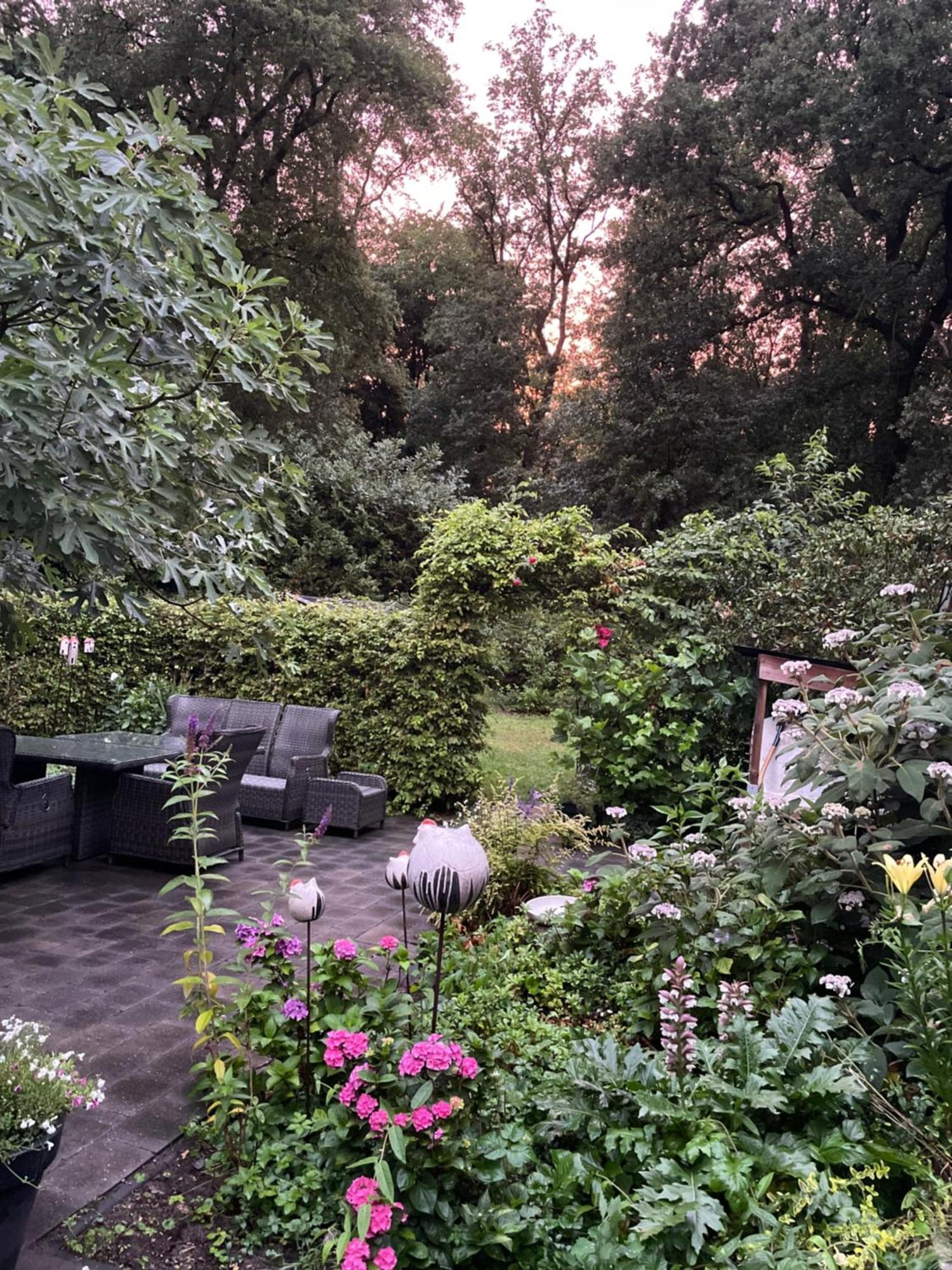 De Hooizolder Bed and Breakfast Hellendoorn Exteriör bild